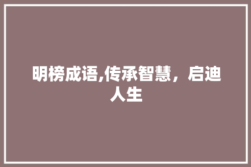 明榜成语,传承智慧，启迪人生