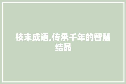 枝末成语,传承千年的智慧结晶
