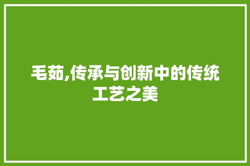 毛茹,传承与创新中的传统工艺之美