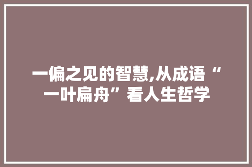 一偏之见的智慧,从成语“一叶扁舟”看人生哲学