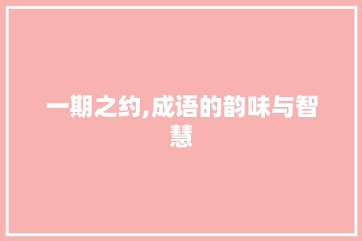 一期之约,成语的韵味与智慧