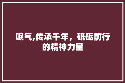 唳气,传承千年，砥砺前行的精神力量