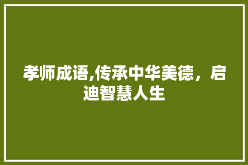 孝师成语,传承中华美德，启迪智慧人生