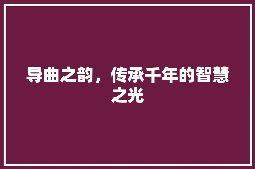 导曲之韵，传承千年的智慧之光