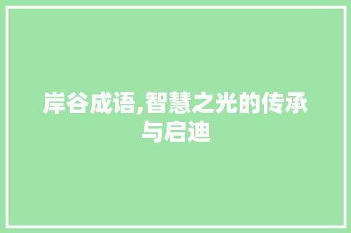 岸谷成语,智慧之光的传承与启迪