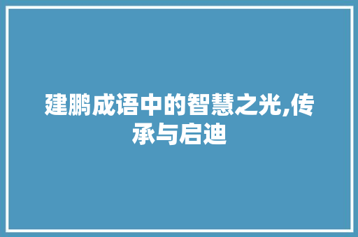 建鹏成语中的智慧之光,传承与启迪