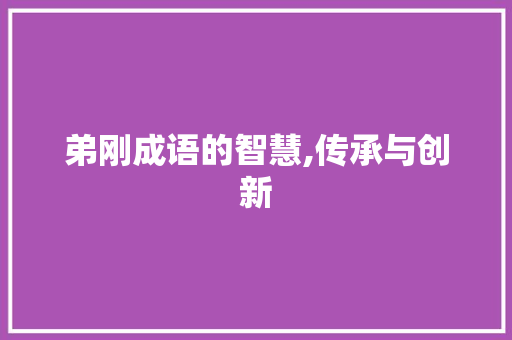 弟刚成语的智慧,传承与创新
