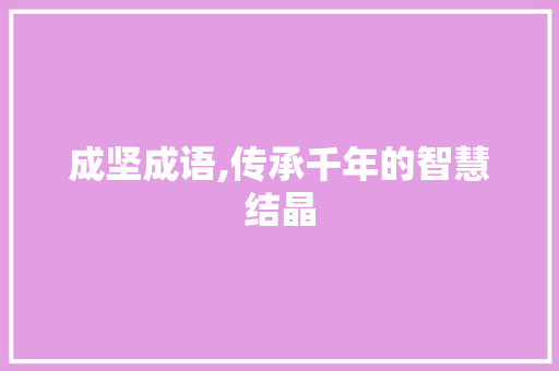 成坚成语,传承千年的智慧结晶