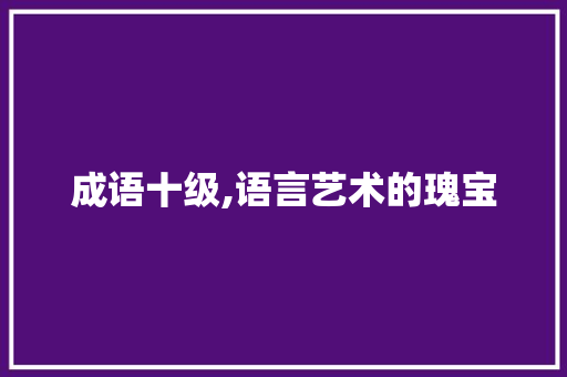 成语十级,语言艺术的瑰宝