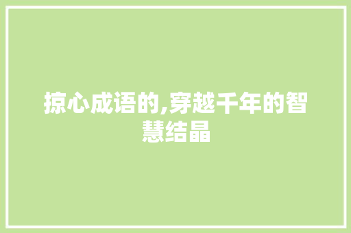 掠心成语的,穿越千年的智慧结晶