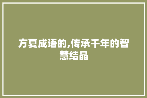 方夏成语的,传承千年的智慧结晶