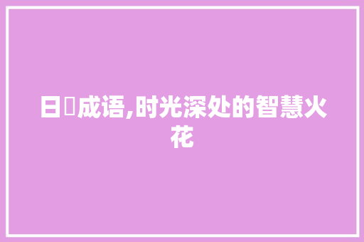 日愒成语,时光深处的智慧火花