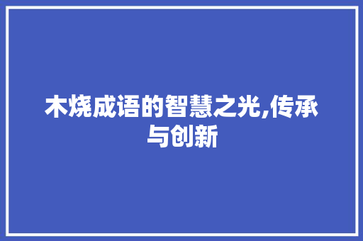 木烧成语的智慧之光,传承与创新