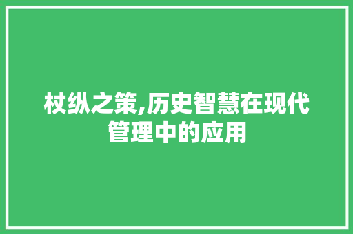 杖纵之策,历史智慧在现代管理中的应用