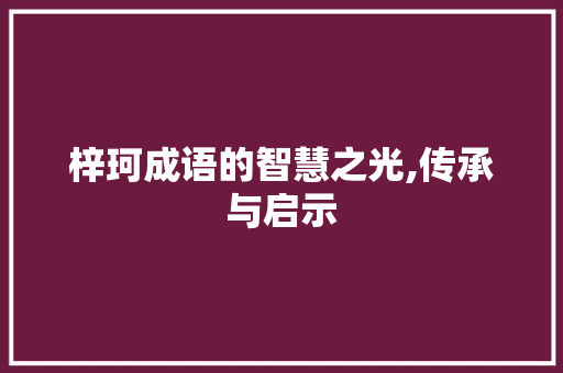 梓珂成语的智慧之光,传承与启示