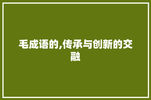 毛成语的,传承与创新的交融