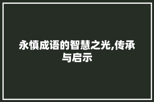 永慎成语的智慧之光,传承与启示