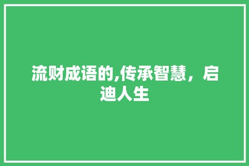 流财成语的,传承智慧，启迪人生