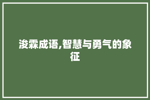 浚霖成语,智慧与勇气的象征