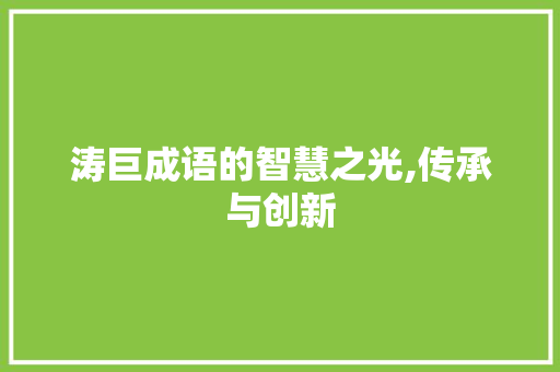 涛巨成语的智慧之光,传承与创新 短语