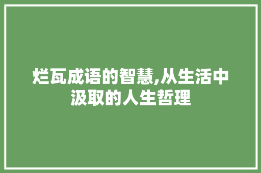 烂瓦成语的智慧,从生活中汲取的人生哲理