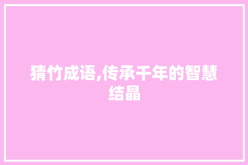 猜竹成语,传承千年的智慧结晶