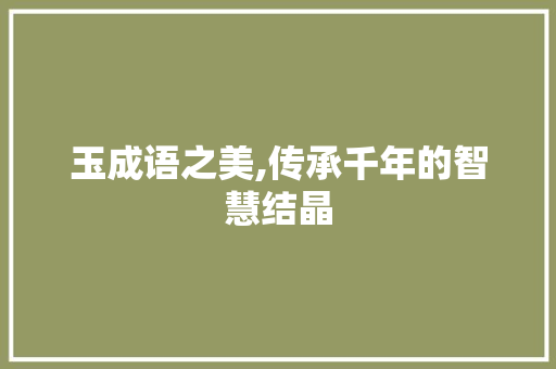 玉成语之美,传承千年的智慧结晶