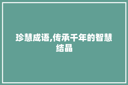 珍慧成语,传承千年的智慧结晶
