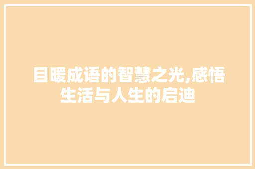 目暖成语的智慧之光,感悟生活与人生的启迪