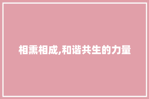 相熏相成,和谐共生的力量