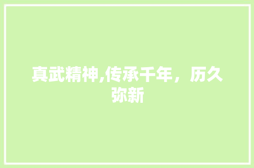 真武精神,传承千年，历久弥新