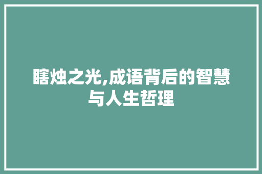 瞎烛之光,成语背后的智慧与人生哲理