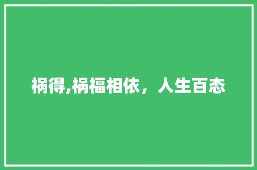 祸得,祸福相依，人生百态