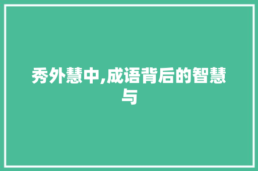 秀外慧中,成语背后的智慧与
