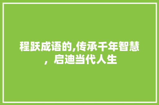 程跃成语的,传承千年智慧，启迪当代人生