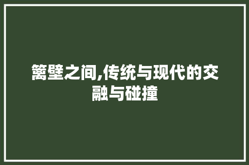 篱壁之间,传统与现代的交融与碰撞