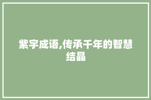 紫宇成语,传承千年的智慧结晶