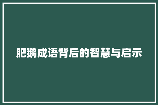 肥鹅成语背后的智慧与启示