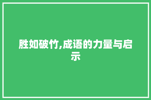 胜如破竹,成语的力量与启示