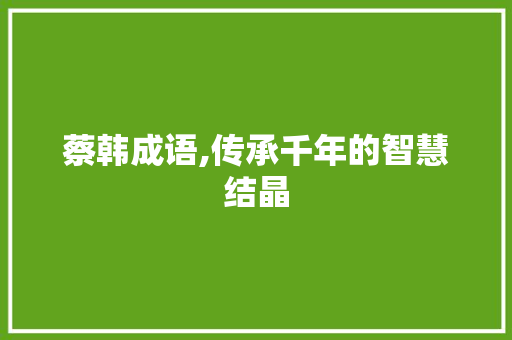 蔡韩成语,传承千年的智慧结晶