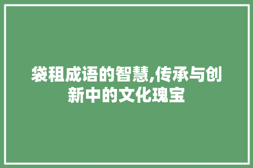 袋租成语的智慧,传承与创新中的文化瑰宝