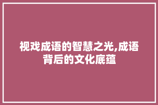视戏成语的智慧之光,成语背后的文化底蕴