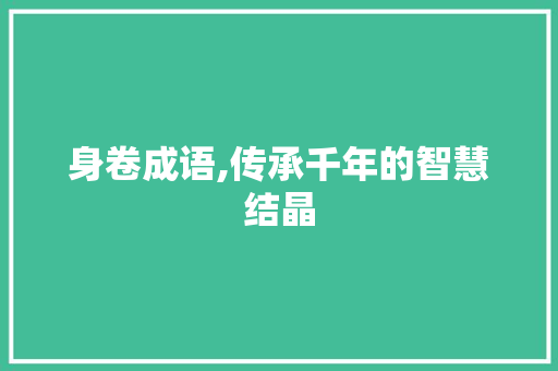身卷成语,传承千年的智慧结晶