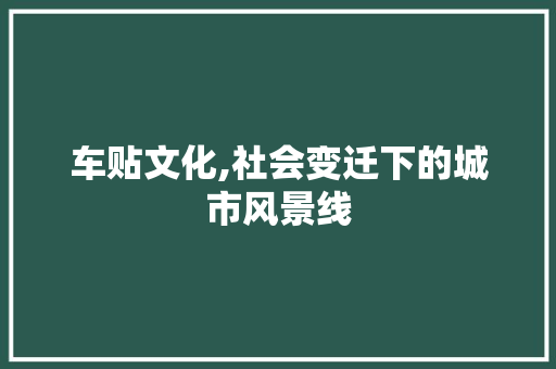 车贴文化,社会变迁下的城市风景线