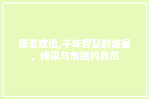 辰菲成语,千年智慧的结晶，传承与创新的典范