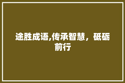 途胜成语,传承智慧，砥砺前行