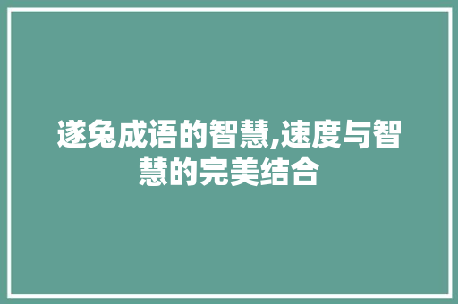 遂兔成语的智慧,速度与智慧的完美结合
