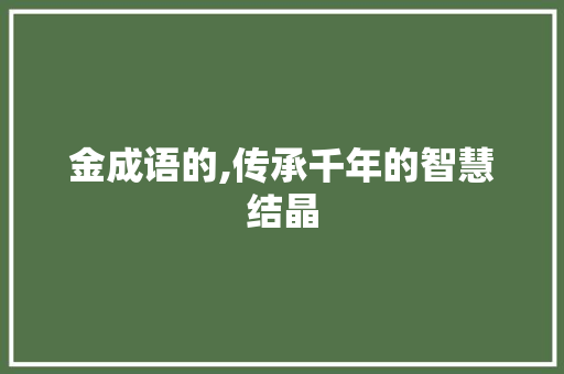 金成语的,传承千年的智慧结晶