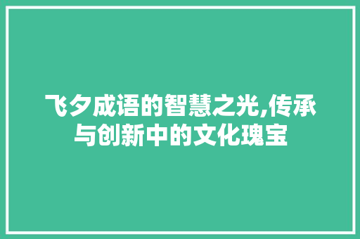 飞夕成语的智慧之光,传承与创新中的文化瑰宝