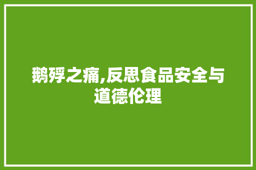 鹅殍之痛,反思食品安全与道德伦理
